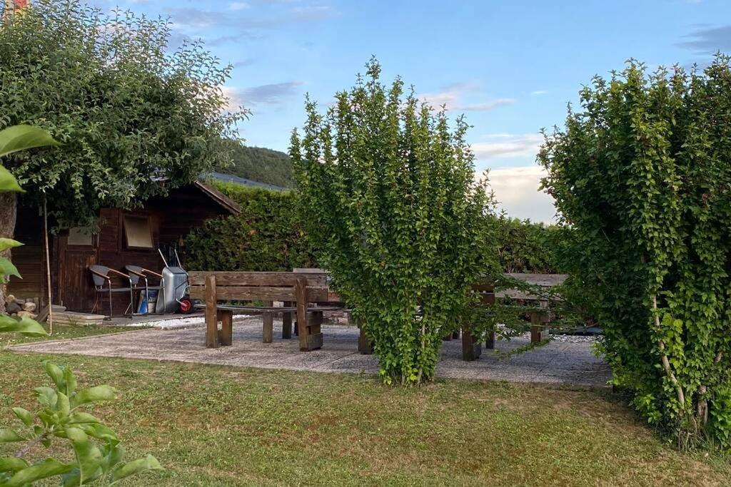 Die Seeblume - Ferienwohnung Mit Pool Und Seeblick Bodman-Ludwigshafen Luaran gambar